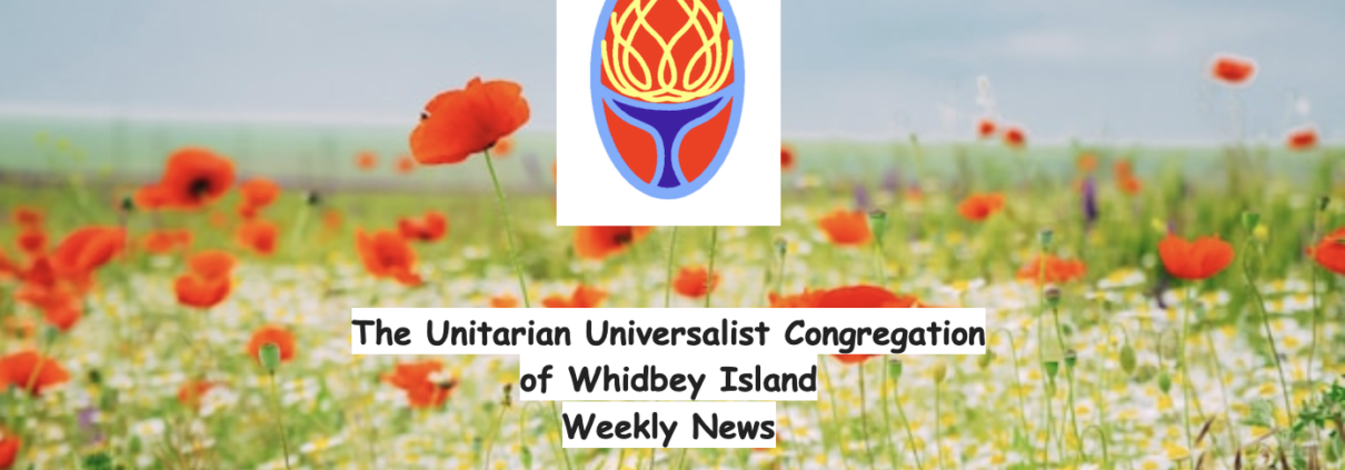 Poppies enews